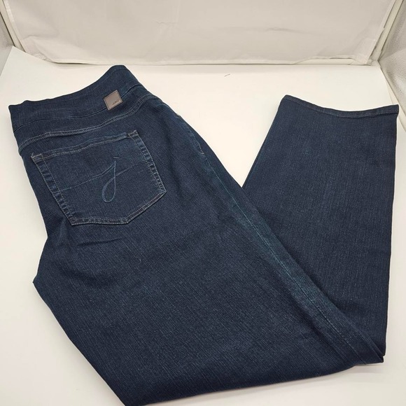 JAG Jean Plus Size 20 W Pull On High Rise Straight Leg Stretchy Jeans Pockets - Picture 1 of 9